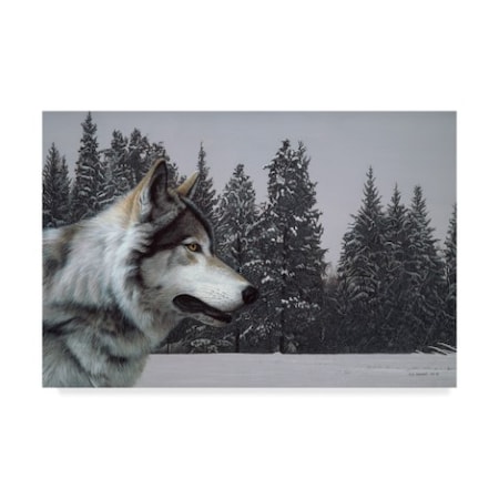 Ron Parker 'Wolf Portrait' Canvas Art,12x19